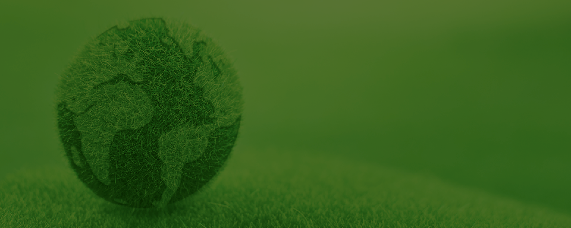 保护地球，刻不容缓